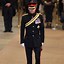 Image result for Prince Harry Wearing Armor