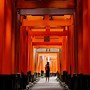 Image result for Fushimi Inari Shrine Wallpaper