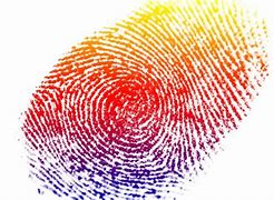 Image result for Fingerprint Counting