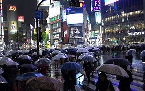 Image result for Shibuya Night Rain