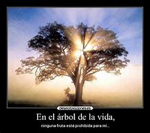Image result for El Arbol De La Vida Frases