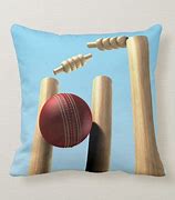 Image result for Cricket Wicket and Ball