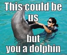 Image result for Boto Dolphin Meme