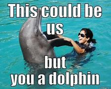 Image result for Dolphins Lose Meme