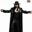 Image result for WWE Wrestler Costumes