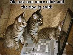 Image result for Funny Technology Fails You Memes