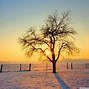 Image result for Free Winter Backdrops