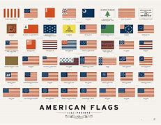 Image result for Black American Flag Year