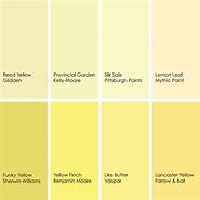 Image result for Valspar Pale Yellow Paint