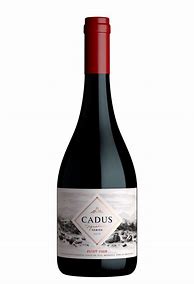 Image result for Daedalus Pinot Noir Maresh