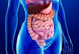 Image result for gastroenteritis