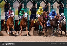 Image result for Pics of Race Horses in Starting Gate
