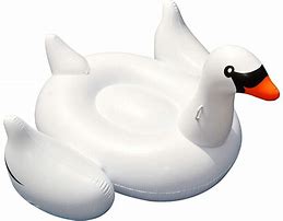 Image result for Giant Swan Pool Float