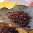 Image result for Cricket Insect Food