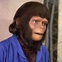 Image result for Planet of the Apes Characters