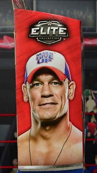 Image result for WWE John Cena Elite Toys 64