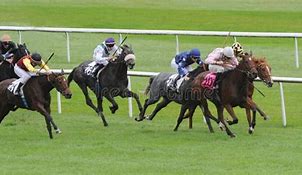 Image result for Horse Racing PC Wallpaper