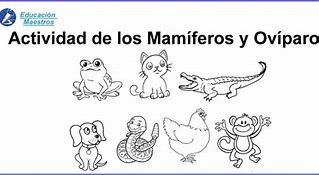 Image result for Animales Oviparos Para Colorear