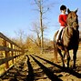 Image result for Horse Rider Front View