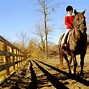 Image result for Horse Riding Race