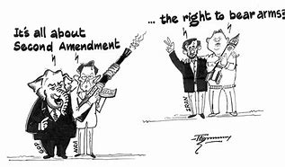 Image result for Second Amendment Political Cartoon