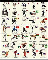 Image result for Most Powerful Martial Arts Style