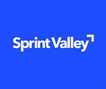 Image result for Sprint XR iPhone Black