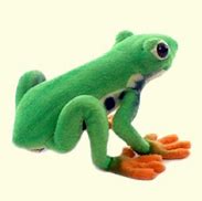 Image result for Tree Frog Plush