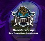 Image result for Breeders' Cup