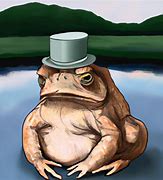 Image result for Toad Animal Meme