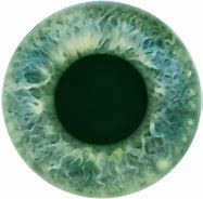 Image result for Green Eye Contact Lenses