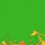 Image result for Red Smoke Greenscreen