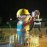 Image result for Coral Reef Memes