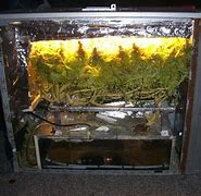 Image result for Plant PC Case