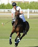Image result for Prince Harry Polo Horses