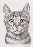 Image result for Cool Cat Sketches