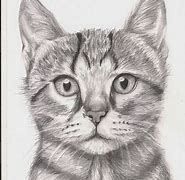 Image result for Long Cat Drawing