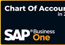 Image result for SAP Account Type