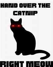 Image result for Catnip Meme