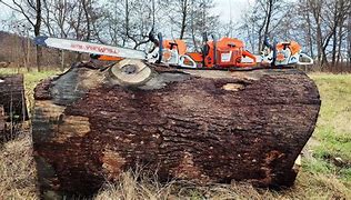 Image result for Big Chainsaws for Logging