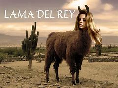 Image result for Llama Del Rey