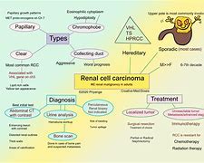 Image result for Cancer Kidney Renal Cell Carcinoma