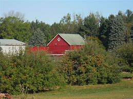 Image result for Aamodt's Apple Farm