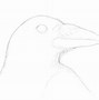 Image result for Raven Drawings Images