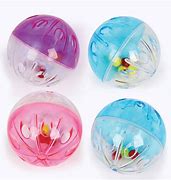Image result for Rattle Ball Cat Toy
