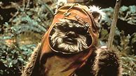 Image result for Wicket the Ewok