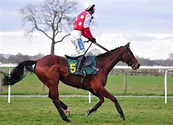 Image result for Horse Racing Form