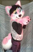 Image result for Furry iPod Cases