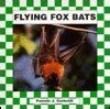 Image result for Flying Fox Bat Drawing