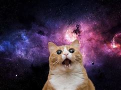 Image result for Cat Space Backround